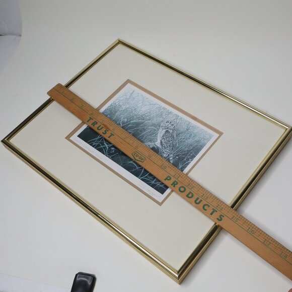 Vintage Don Li- Leger Short Eared Owl Framed Print 1986 Natural Art Artist BC - Picture 8 of 14